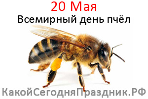 world-bee-day.jpg