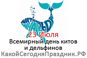 Vsemirnyj Den Kitov I Delfinov World Whale And Dolphin Day 23 Iyulya Kakoj Segodnya Prazdnik Rf